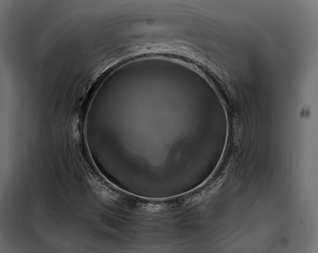 X0000100761497200806191155