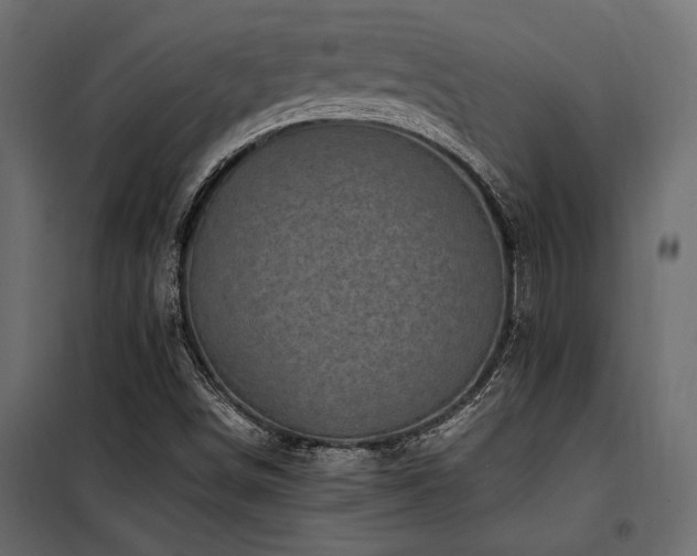 X0000100761498200806191155