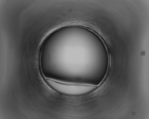 X0000100761500200806191155