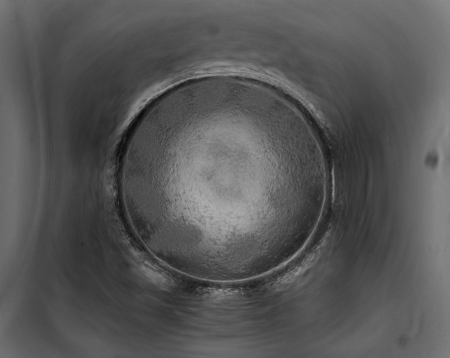 X0000100761501200806191155