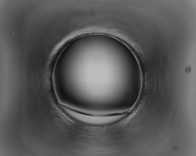 X0000100761502200806191155