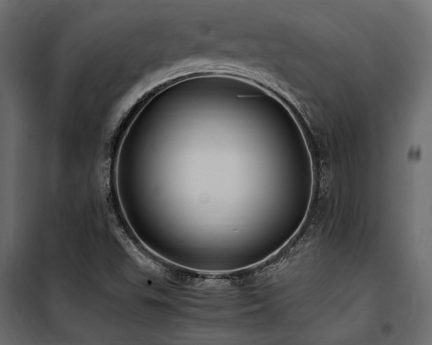 X0000100761503200806191155