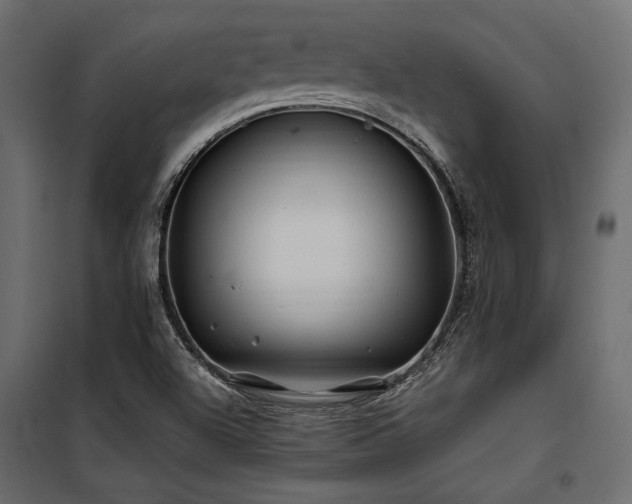 X0000100761504200806191155