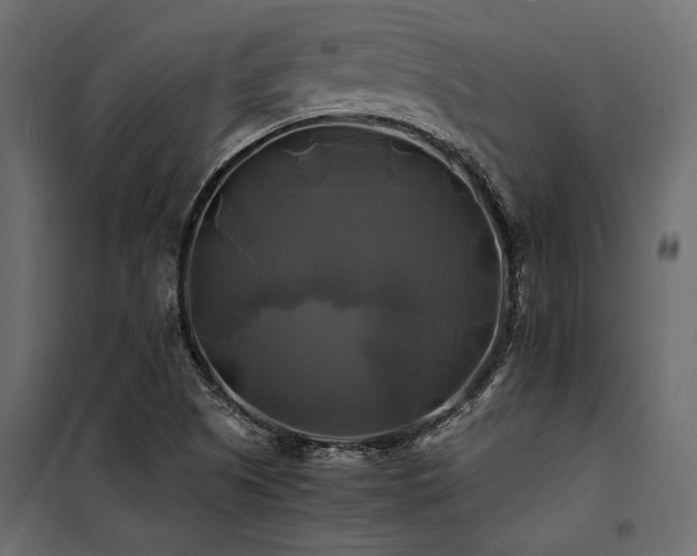 X0000100761505200806191155