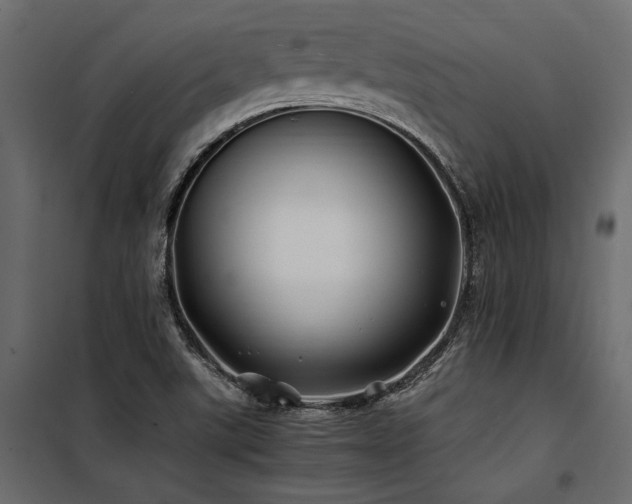 X0000100761507200806191155