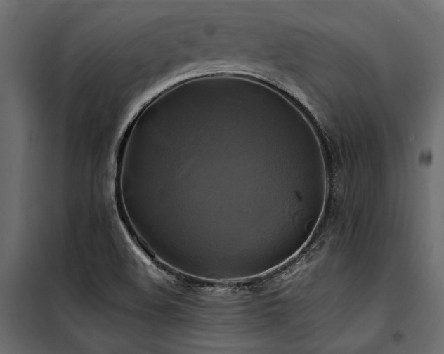 X0000100761508200806191155