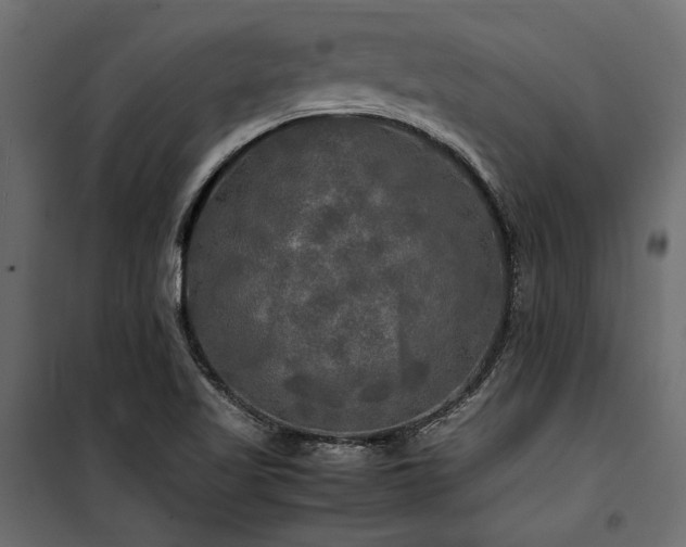 X0000100761509200806191155