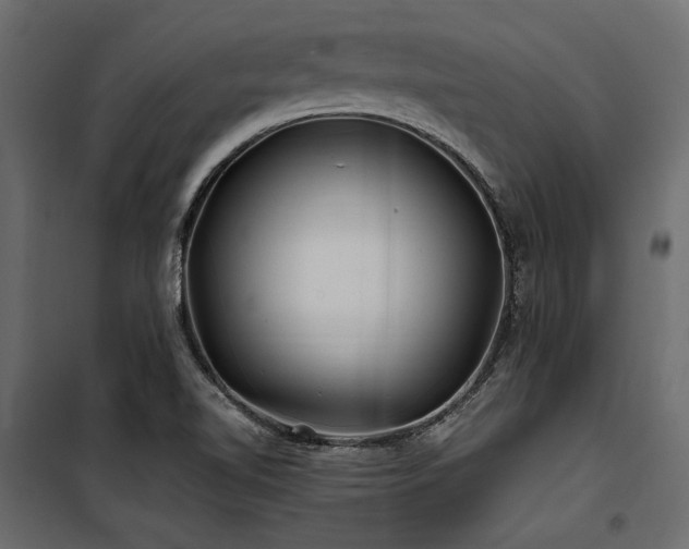 X0000100761510200806191155