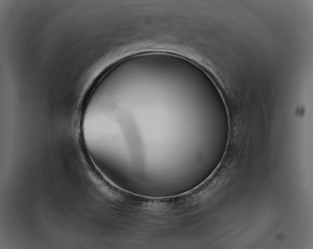 X0000100761511200806191155