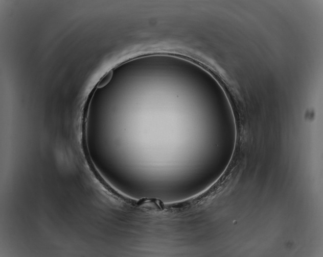 X0000100761512200806191155