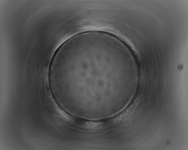 X0000100761513200806191155