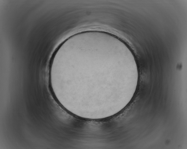 X0000100761514200806191155