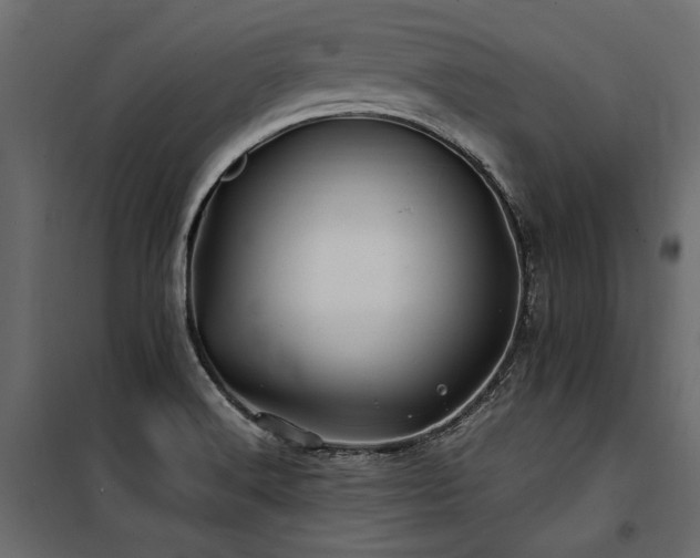 X0000100761516200806191155