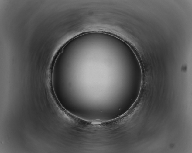 X0000100761517200806191155