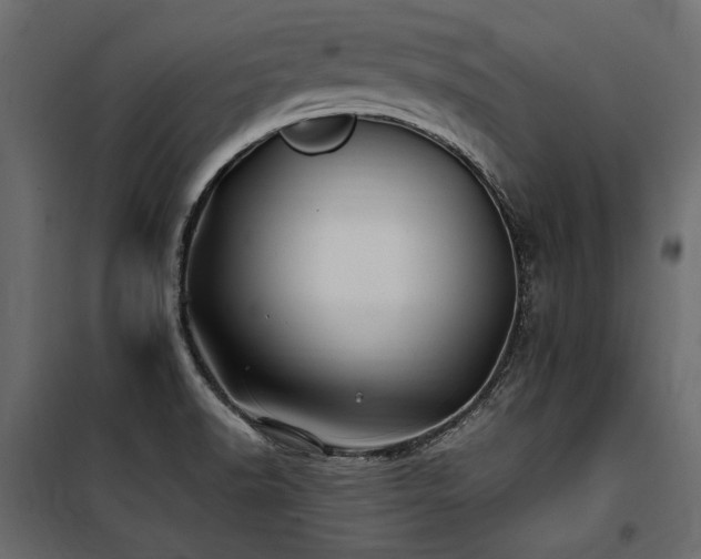 X0000100761518200806191155