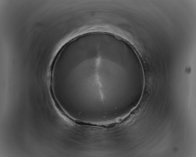 X0000100761519200806191156