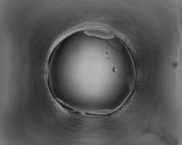 X0000100761520200806191156