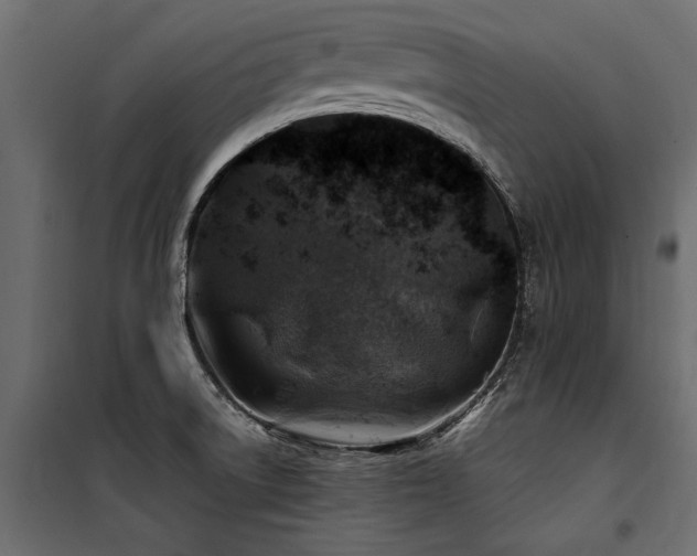 X0000100761522200806191156