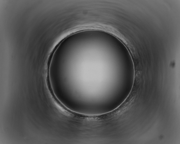 X0000100761523200806191156