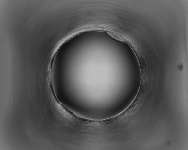 X0000100761524200806191156