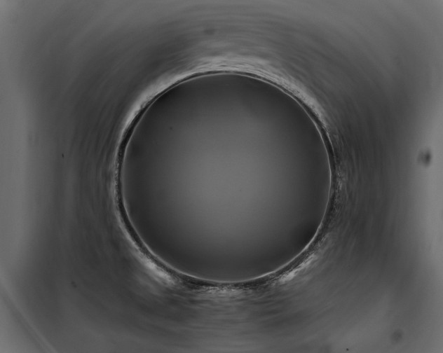 X0000100761525200806191156