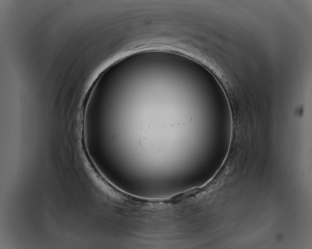 X0000100761526200806191156