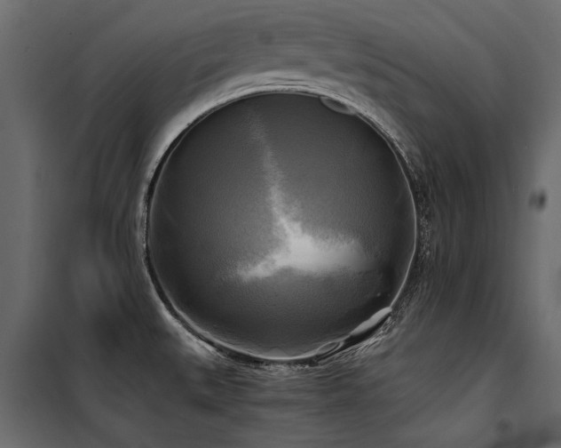 X0000100761527200806191156