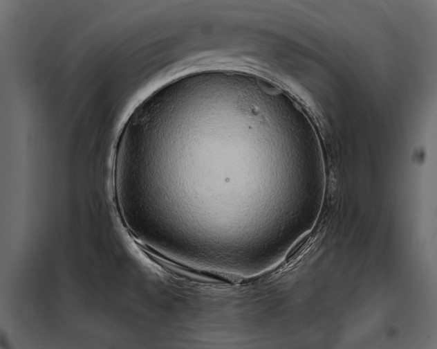 X0000100761528200806191156