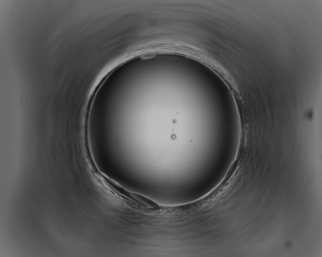 X0000100761530200806191156