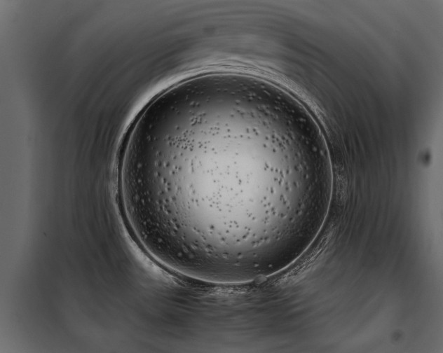 X0000100761531200806191156