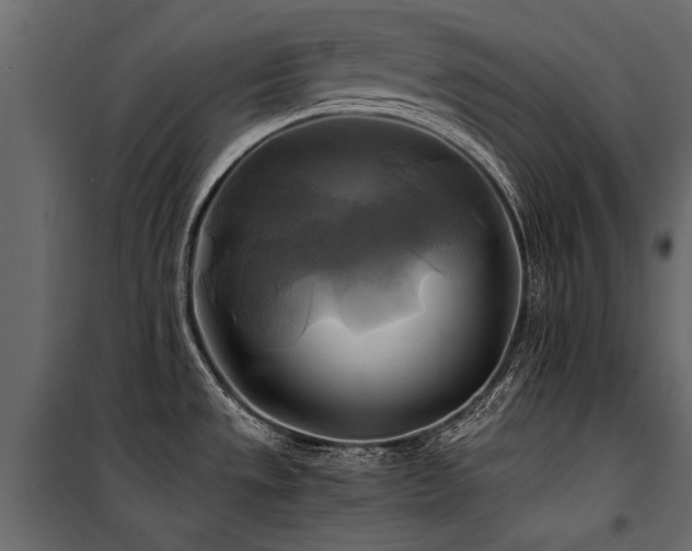 X0000100761533200806191156