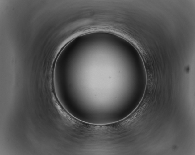 X0000100761534200806191156