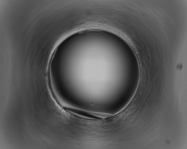 X0000100761536200806191156