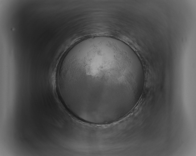 X0000100760002200806261614