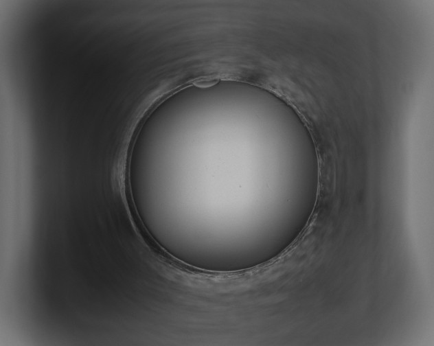 X0000100760003200806261614