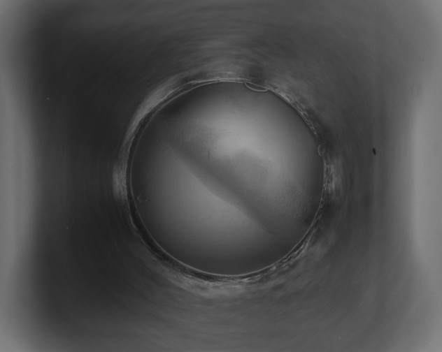 X0000100760004200806261614