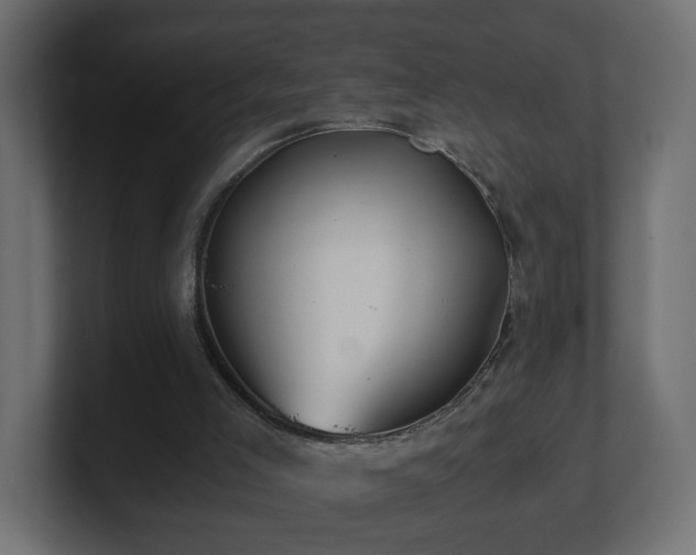 X0000100760005200806261614