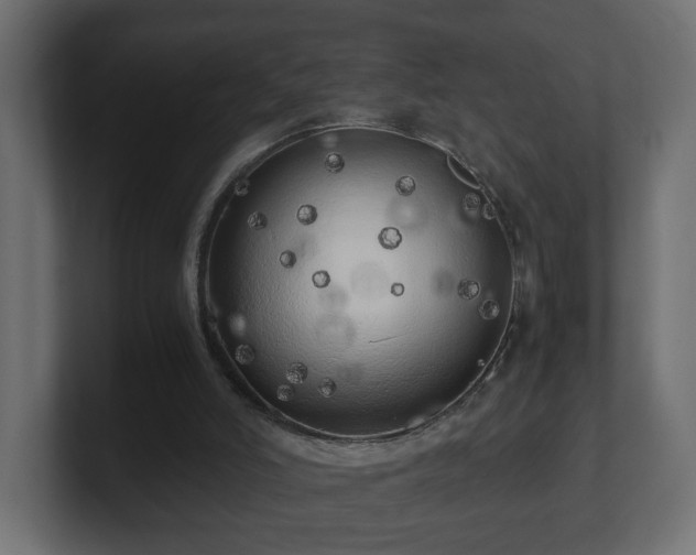 X0000100760006200806261614