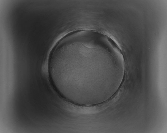 X0000100760008200806261614