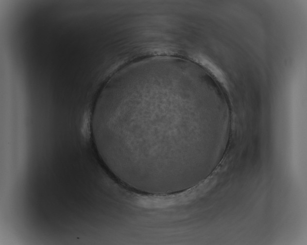 X0000100760009200806261614