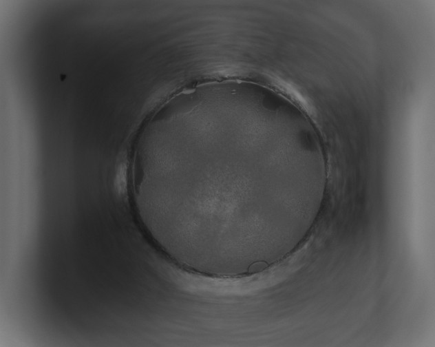 X0000100760010200806261614