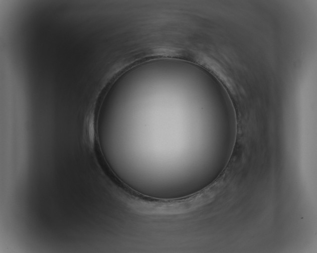 X0000100760011200806261614