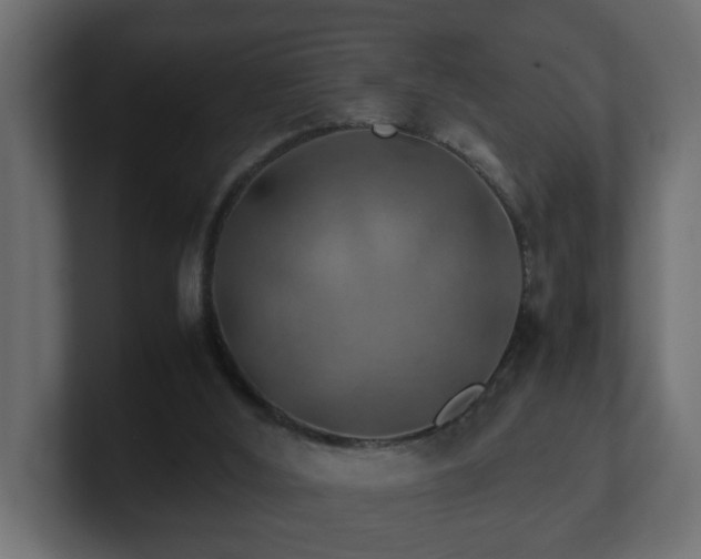 X0000100760012200806261614