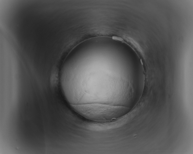 X0000100760017200806261614