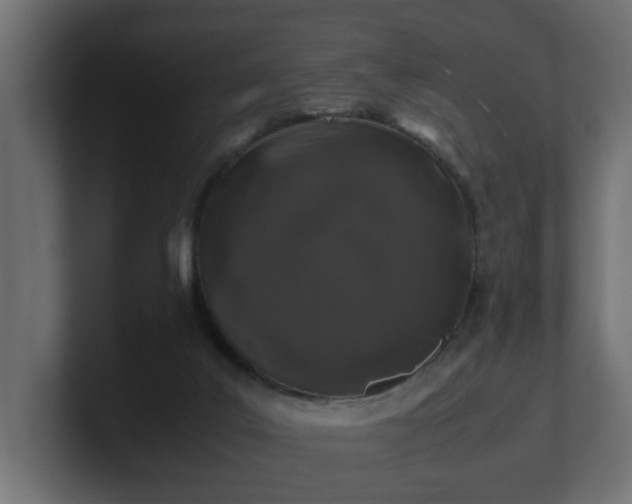 X0000100760019200806261614