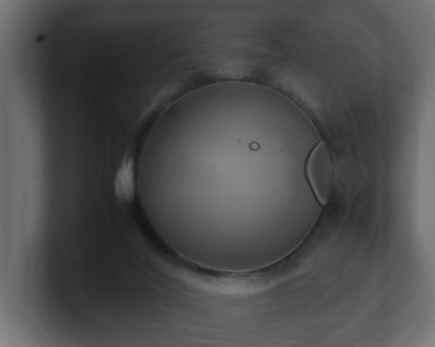 X0000100760020200806261614