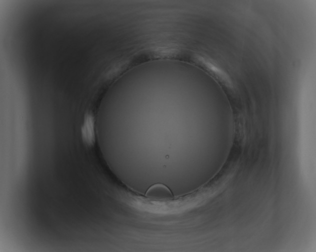 X0000100760022200806261614