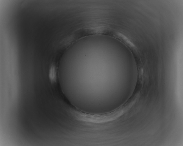 X0000100760026200806261614