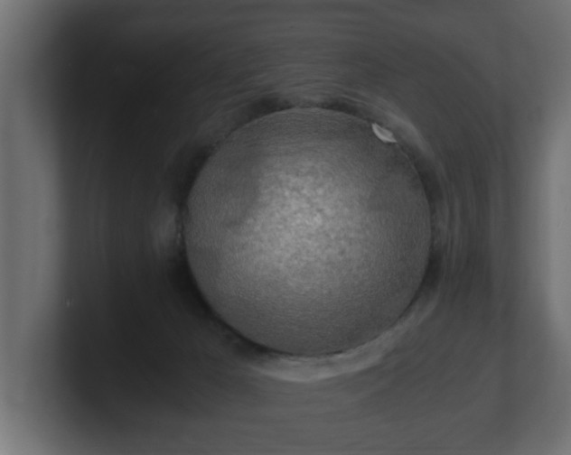 X0000100760029200806261614