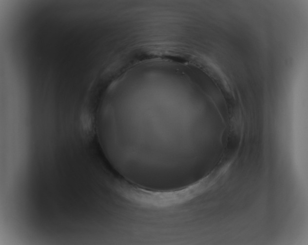 X0000100760031200806261614